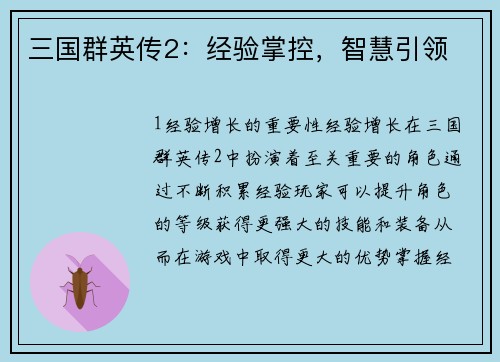 三国群英传2：经验掌控，智慧引领